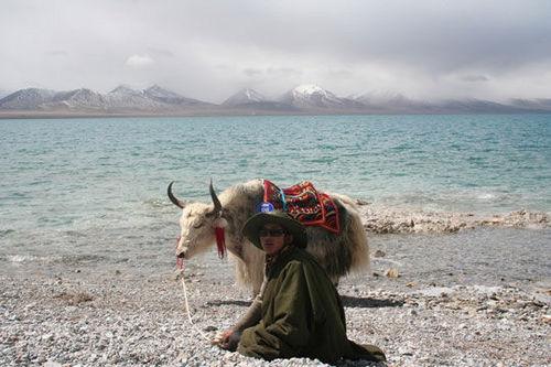 向往的圣地 在最好的時節(jié)去西藏旅游