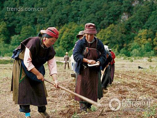 巴松錯(cuò)繁花盛放 揭秘西藏的江南