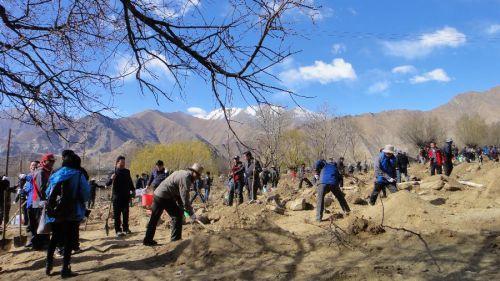 3月29日，援藏干部在拉薩市堆龍德慶縣羊達(dá)鄉(xiāng)通嘎村義務(wù)植樹(shù)。