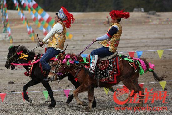 廣東省重點(diǎn)援藏項(xiàng)目——林芝魯朗國(guó)際旅游小鎮(zhèn)正式開業(yè)！_金羊網(wǎng)新聞