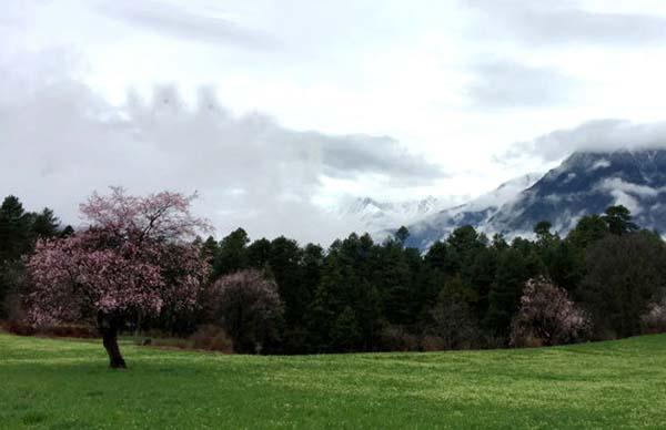 崗巴村的早晨.jpg