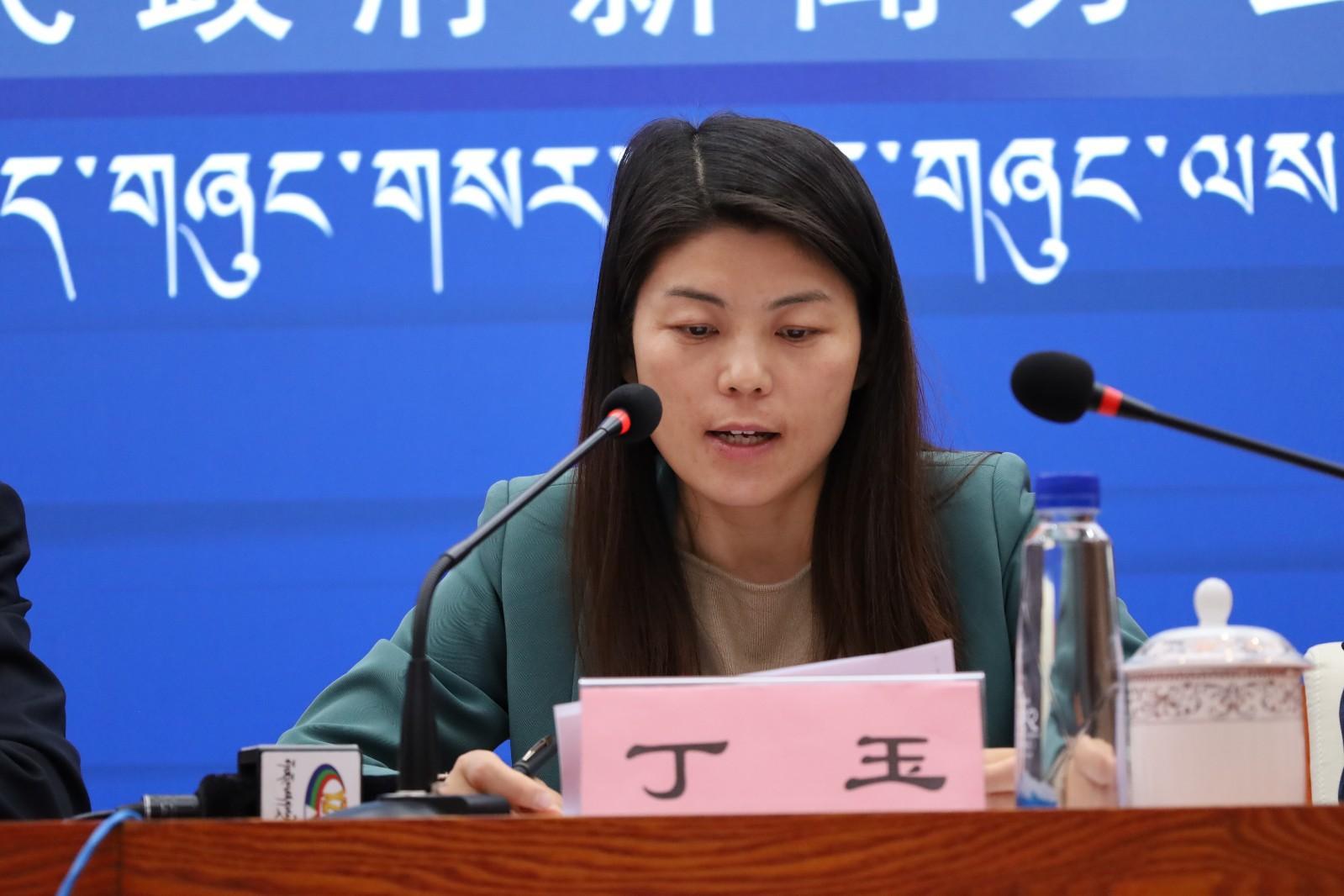 新聞發(fā)言人：區(qū)發(fā)改委黨組成員,、主任助理 丁玉.JPG